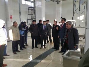 Modernize Edilen Pazaryeri Belediyesi Mezbahanesi Hizmete Girdi