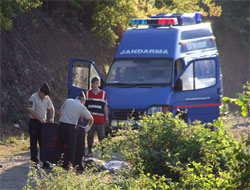 Rize Dahil 15 İlde Hırsızlık Şebekesi