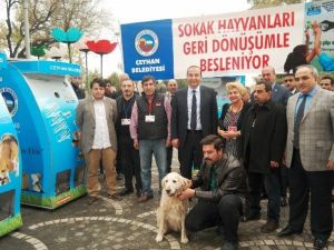 Ceyhan’da Sokak Hayvanları Geri Dönüşümle Besleniyor