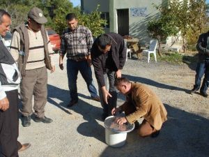 Yavru Atmaca Doğaya Bırakıldı
