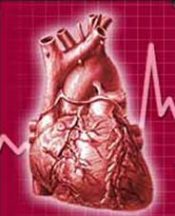 Kalp nakli tarihe karışacak!