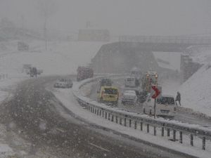 Sinop’ta Beyaz Esaret