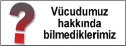 Vücudumuz hakkında bilmediklerimiz