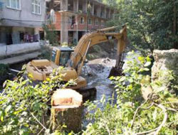 Dere Kenarındaki Ağaçlar Kesilecek