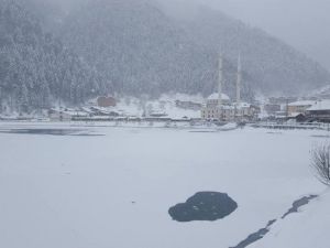 Uzungöl Dondu