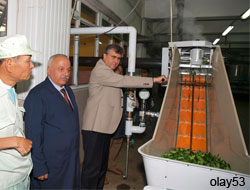 Yeşil Çay'da Yeni Sistem