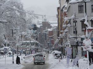 Rize'de Kar Yerini Yağmura Bırakıyor