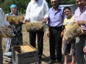 Ordu Bal Üretiminde Altı Ülkeyi Geçti