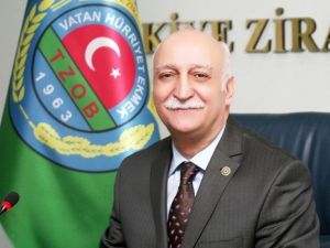 Aralık Ayında Havuç Ucuzladı, Kabak Tavan Yaptı