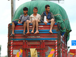 Rize'de Çay Yüklü Kamyonet Devrildi