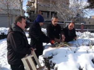 Batman’da Kuşlara Yem Takviyesi