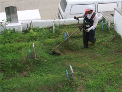 Rize'deki Mezarlıklar Bayrama Hazır
