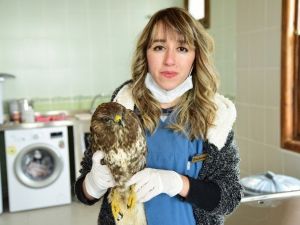 Kuş Cenneti’nde Hasta Kuşlara Özel Bakım