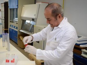 Türk Bilim İnsanları Yerli Malı Yapay Kan Üretti