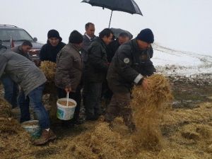 Düzce’de Yaban Hayvanlarına Yem Bırakıldı