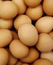 Yumurta kas gelişimi için birebir