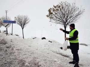 Belediye Aç Kalan Kuşlara Yem Bıraktı