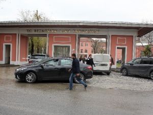 İstanbul’daki Domuz Gribi Şüphesi Asılsız Çıktı