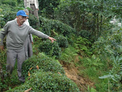 Rize'de Heyelan Tehlikesi !