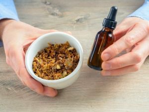 Arıların Doğal Antibiyotiği Propolis