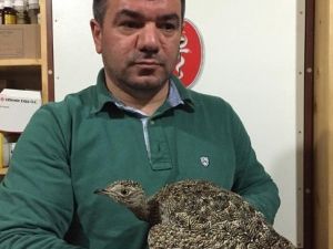 Ordu’da ‘Mezgeldek’ Heyecanı