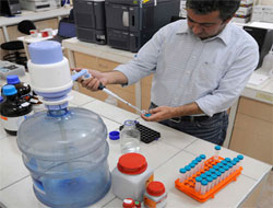 Damacanalar temiz çıktı