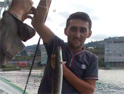 Oltaya Yılan Balığı Vurunca...