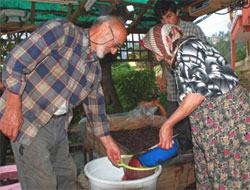 Rize'de Kışa Hazırlık
