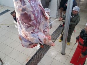 Bilecik’te Belediye Mezbahalarının Faaliyetlerine Son Verildi