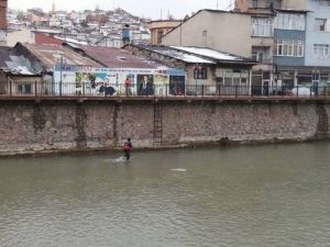 Çoruh’a Düşen Kediyi İtfaiye Kurtardı