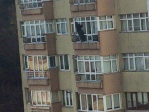 14. Katta Ölümüne Temizlik