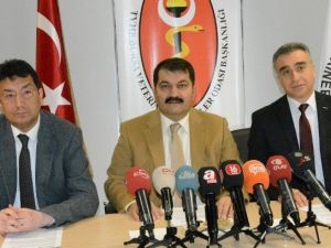 Mide Enfeksiyonu Arıların Yüzde 70’ini Telef Etti