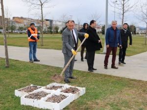 Yalova’da Balık Artıkları Martılara Yem Oluyor