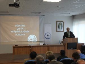 Düzce’de Tarımda 2015 Yılı Aralık Ayı Dolu Dolu Geçti
