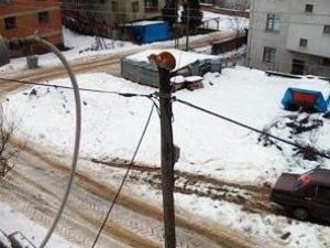 Daday’da Kedi Kurtarma Operasyonu