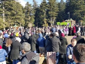 Bolu Ordulular Derneği’nden Hamsi Balık Festivali