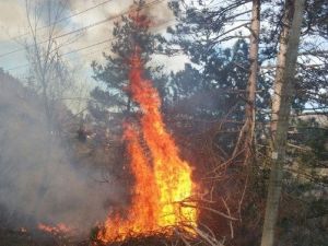 Kastamonu’da Orman Yangını