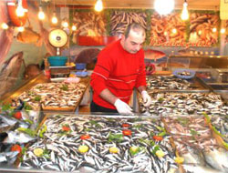 Palamut Üzdü Gözler Hamside