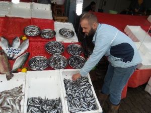 Balık Satıcıları Sezondan Memnun Değil