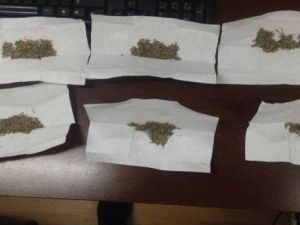 Amasya Polisinden Bonzai Baskını