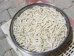 Diş ağrısını bitiren sakız