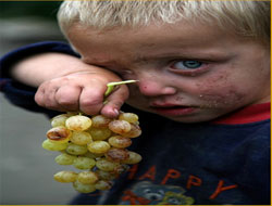 1 Milyon İnsan Kronik Açlık Çekiyor