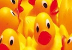 Plastik üremeyi etkiliyor