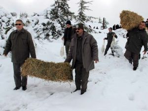 Spil’e Yaban Hayvanları İçin Yem Bırakıldı