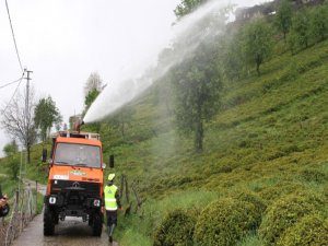 Türk Çayder'den Organik Çay tarımı Vurgusu