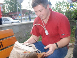 Hes'ci Sandılar, Böcekçi Çıktı