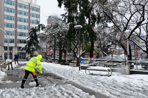 Trabzon Karla Mücadele Ediyor