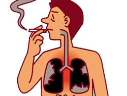 Sigara Tiryakileri Bu Haberi Okuyun