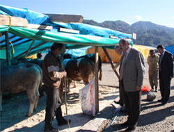 Kurban Besicileri Umutlu