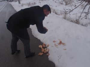 Sungurlu Belediyesi Sokak Hayvanlarını Unutmadı